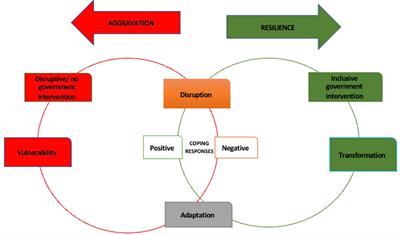 “Ocean Optimism” and Resilience: Learning From Women’s Responses to Disruptions Caused by COVID-19 to Small-Scale Fisheries in the Gulf of Guinea